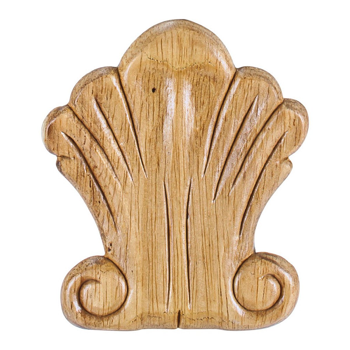 Hardware Resources 3-1/4" x 5/16" x 3-3/4" Pressed Shell Applique-DirectCabinets.com