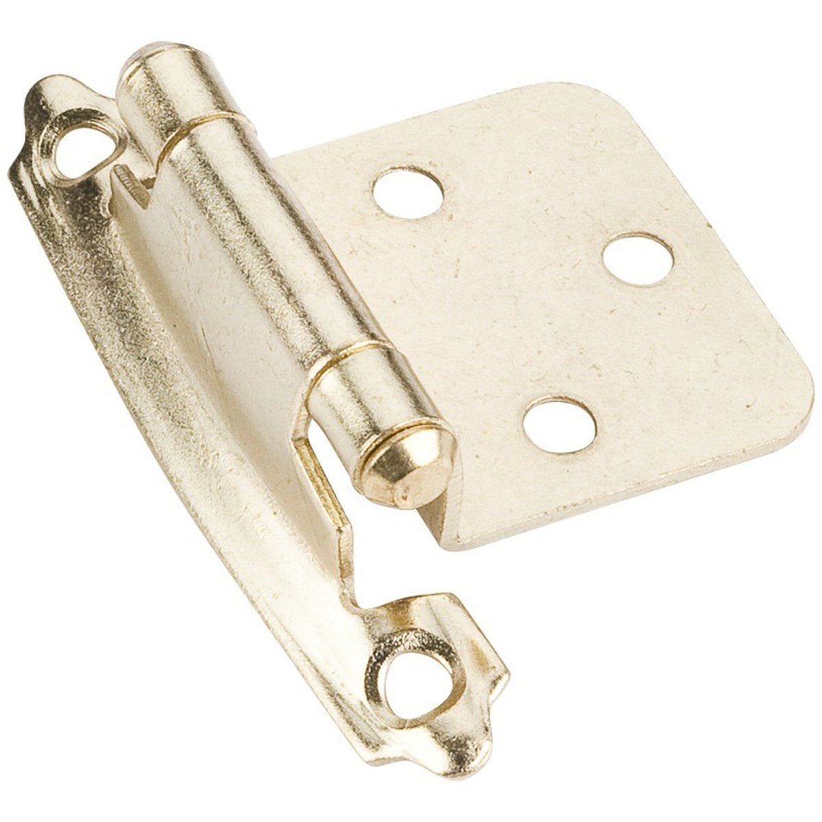 Hardware Resources Flush Hinge, Face Frame, Self Closing Hinge-DirectCabinets.com